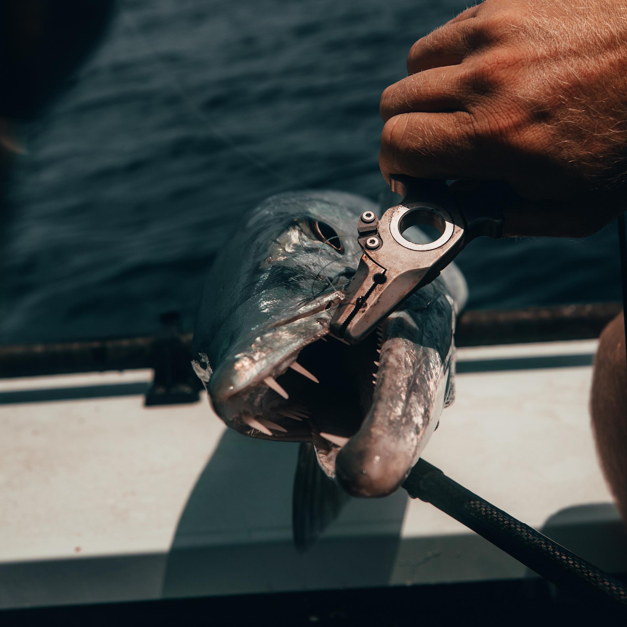 7 PREMIO PLIERS - OFFSHORE | Danco Sports